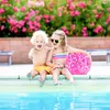 Swim Essentials 2020SE148, Spielzeugball, 3 Jahr(e), Produktbild-Vorschau 3