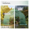 tectake® Foliengewächshaus 27 m³, in Zeltform mit 8 Produktbild-Vorschau 6