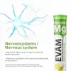 Magnesium 375 mg Brausetabletten 24x 20 Stück Zitrone – Produktbild-Vorschau 8