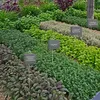 Omgoods- Plantenborden Set van 22 - Leisteen - Productafbeelding-voorbeeld 4