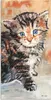 ARTland Wandbild Alu für Innen & Outdoor Katze Größe: 30x60 Produktbild-Vorschau 2