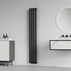 Radiateur tubulaire 'Nore' noir 160x24cm monocouche 438W Voir les images du produit 1
