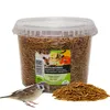 A large plastic tub filled with dried mealworms, with a sparrow and a pile of mealworms in the foreground. Produktbild-Vorschau