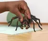 Hračka Schleich Harry Potter - Aragog Anteprima dell’immagine prodotto 15