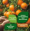 Kübelpflanzenerde & Zitruspflanzenerde FloraSelf Select 40 Produktbild-Vorschau 3