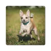 MuchoWow® Mauspad Mousepad Ein lächelnder Chihuahua hüpft Produktbild-Vorschau 1