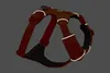 Ruffwear Front Range™ Hundegeschirr Produktbild-Vorschau 13