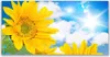 Tulup Leinwand-Bilder 120x60 Wandbild Canvas Kunstdruck Produktbild-Vorschau 1