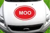 Indigos UG - Aufkleber Heckscheibe & Motorklappe DE2357 - Produktbild-Vorschau 2