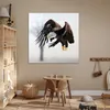 MuchoWow® Poster Weißgesicht-Seeadler - Adler - Raubvogel - Produktbild-Vorschau 7