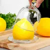 Contenitore in vetro per limoni 9,5x9,5 cm Anteprima dell’immagine prodotto 5