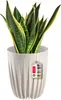 KADAX Blumentopf aus Kunststoff "Costa", mit Produktbild-Vorschau 1
