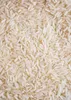 A close-up, overhead view of uncooked jasmine rice grains. Produktbild-Vorschau