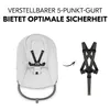 Hauck 5-tlg. Hochstuhl Set - Alpha Move Produktbild-Vorschau 5