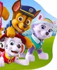 Dekokissen Paw Patrol -  Kinder Formkissen Kuschelkissen 34 Produktbild-Vorschau 3