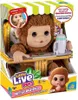 The image shows the packaging of a Little Live Pets "My Baby Monkey" toy. The packaging features the toy monkey prominently, along with product information and branding. Podgląd zdjęcia produktu