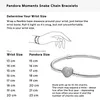 Pandora Armband PAA0051 (Länge: 20cm) Produktbild-Vorschau 12