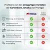 Gartenbank Jamaika | 4-Sitzer | Blau | HxBxT 80x200x64cm | Produktbild-Vorschau 7