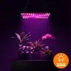 LED Pflanzenlampe 1000W Vollspektrum Panel, 225 LEDs Grow Produktbild-Vorschau 3