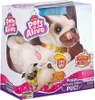 A toy pug in its retail packaging. Voir les images du produit