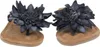 Lazamani Daisy Damen Leder-Zehentrenner Black Größe 41 Produktbild-Vorschau 15