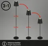 Briloner Leuchten ? Lampadaire LED rechargeable 2 en 1, Voir les images du produit 4