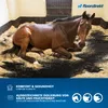 A horse lying down on a black rubber mat in a stable. Produktbild-Vorschau