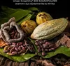 GreatVita Kakaopulver 400g - Bioqualität | rohes Pulver Produktbild-Vorschau 5