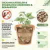 POWER HB-Nematoden gegen Dickmaulrüssler & Engerlinge, 5 Produktbild-Vorschau 4