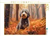 CALVENDO Puzzle Aussiedoodle im Herbstwald | 1000 Teile Produktbild-Vorschau 1