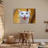 MuchoWow® Poster Katze - Tier - Weiß 60x40 cm - Produktbild-Vorschau 6