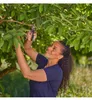Snoeischaar PremiumCut vers hout Gardena Productafbeelding-voorbeeld 14