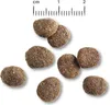 Several pieces of dog food are scattered on a white background, with a ruler indicating measurements in centimeters at the top. Náhľad obrázku produktu