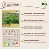 Samenliebe  Grünkohl Samen | Ostfriesische Palme - Produktbild-Vorschau 3