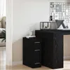 vidaXL Lékárnička, 20 x 45,5 x 60 cm, materiál: dřevotříska Náhled obrázku produktu 4