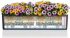LECHUZA Bac à plantes BALCONERA Color 80 Gris clair | Bac à Voir les images du produit 10