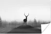 MuchoWow® Poster Rotwild - Schatten - Natur 180x120 cm - Produktbild-Vorschau 2