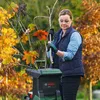 Bosch AXT 22 D - Schredder - elektrisch Náhled obrázku produktu 12