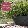 Pflanzschale Rund mit Untersetzer Blumenschale Kunststoff Produktbild-Vorschau 3