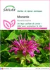 SAFLAX  - Monarde - 20 graines - Monarda Voir les images du produit 1