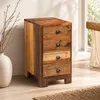 Altholz-Beistellschrank PARADOR 50cm Kommode mit 4 Produktbild-Vorschau 4