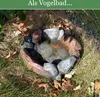 Vogelbad Garten 30cm | Vogeltränke Stein | Wassertränke für Produktbild-Vorschau 5
