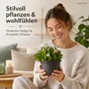 Pflanztopf Fiona Anthrazit Ø 20cm - Frostsicher & Produktbild-Vorschau 4