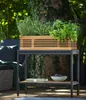 Dehner Premium Hochbeet New York S, modernes Produktbild-Vorschau 7