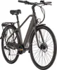 Alu E-Citybike Herren Hollandia Mantova 28'' grau 7 Gänge Produktbild-Vorschau 1