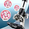 Kit microscope avec lumière dans une boîte Voir les images du produit 3