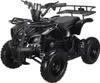 Swoop quad elettrico Ranger 1000W Anteprima dell’immagine prodotto 6