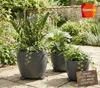 Pot de fleurs en céramique Eggpot anthracite Ø38cm Voir les images du produit 5