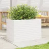 vidaXL Pflanzkübel Weiß 70x40x46 cm Massivholz Kiefer Produktbild-Vorschau 3