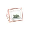 UMBRA PRISMA PHOTO FRAME Cornice per foto 3D 4 misure in Anteprima dell’immagine prodotto 4